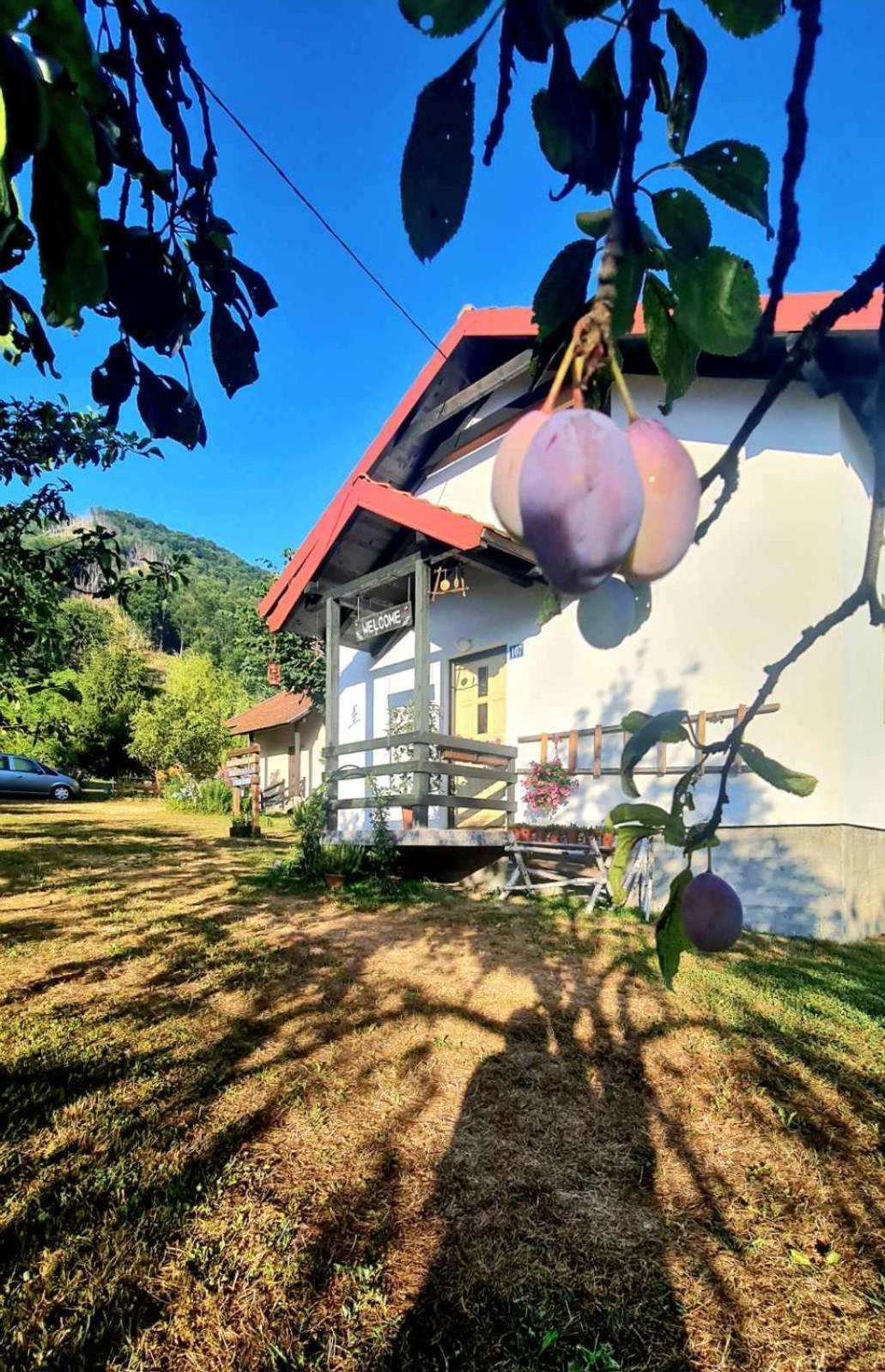 Kosta'S Romantic House Plav Exterior photo